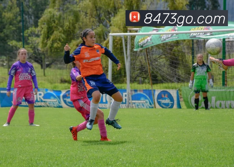 8473新葡京官网APP 封面图